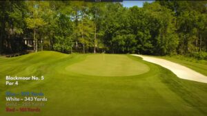 Read more about the article Trail Video Hole Spotlight: The Par-4 5th at Blackmoor