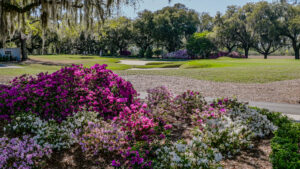 Read more about the article Spring Colors in Full Bloom Along the Hammock Coast Golf Trail