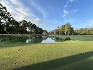 Read more about the article Recent Scenes from TPC Myrtle Beach